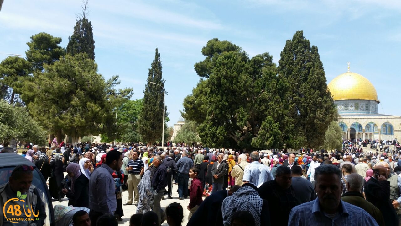 a7bab al aqsaa (19).jpg